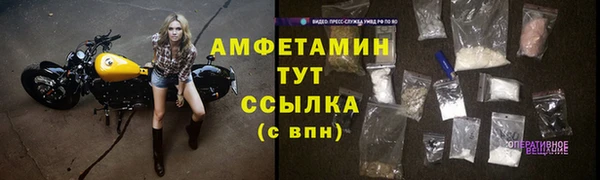 сатива Ладушкин