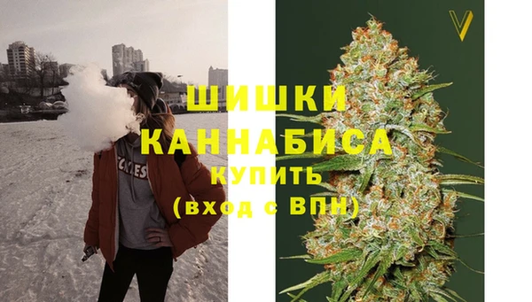 сатива Ладушкин