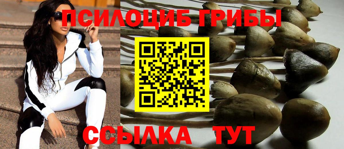 Галлюциногенные грибы Psilocybine cubensis Усть-Кут