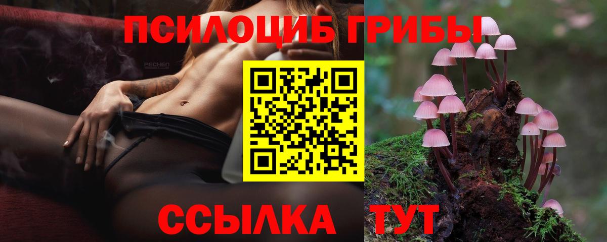 Псилоцибиновые грибы мухоморы Усть-Кут