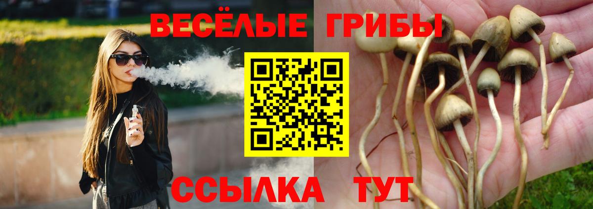 Усть-Кут  где купить наркоту  Вход с VPN  Галлюциногенные грибы мухоморы 